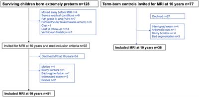 Extreme prematurity and perinatal risk factors related to extremely preterm birth are associated with complex patterns of regional brain volume alterations at 10 years of age: a voxel-based morphometry study